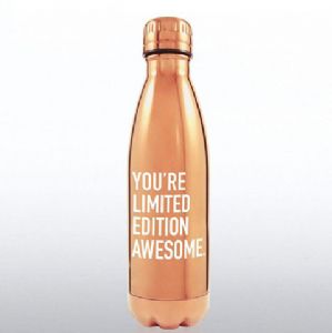 DW Stainless Steel Vacuum BottleHVB-002