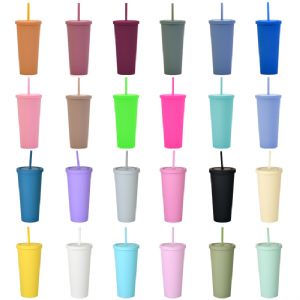 DW Plastic Straw TumblerHLT-2024  DW Plastic Straw Tumbler