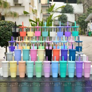 DW Plastic Straw TumblerHLT-2122  DW Plastic Straw Tumbler