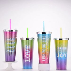 DW Plastic TumblerHLT-2024  DW Plastic Straw Tumbler