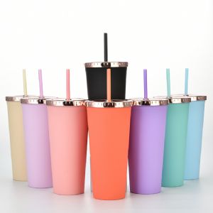 DW Plastic Straw TumblerHLT-2024  DW Plastic Straw Tumbler