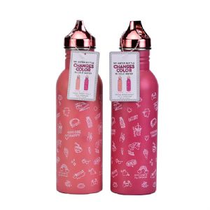 SW Stainless Steel  BottleHLB-100 Stainless Steel  Bottle
