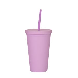 16oz Double-layer Straw CupHLT-2016  DW Plastic Straw Tumbler