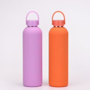 750ml Vacuum Bottle with Handle LidHVB-089L Vacuum Bottle
